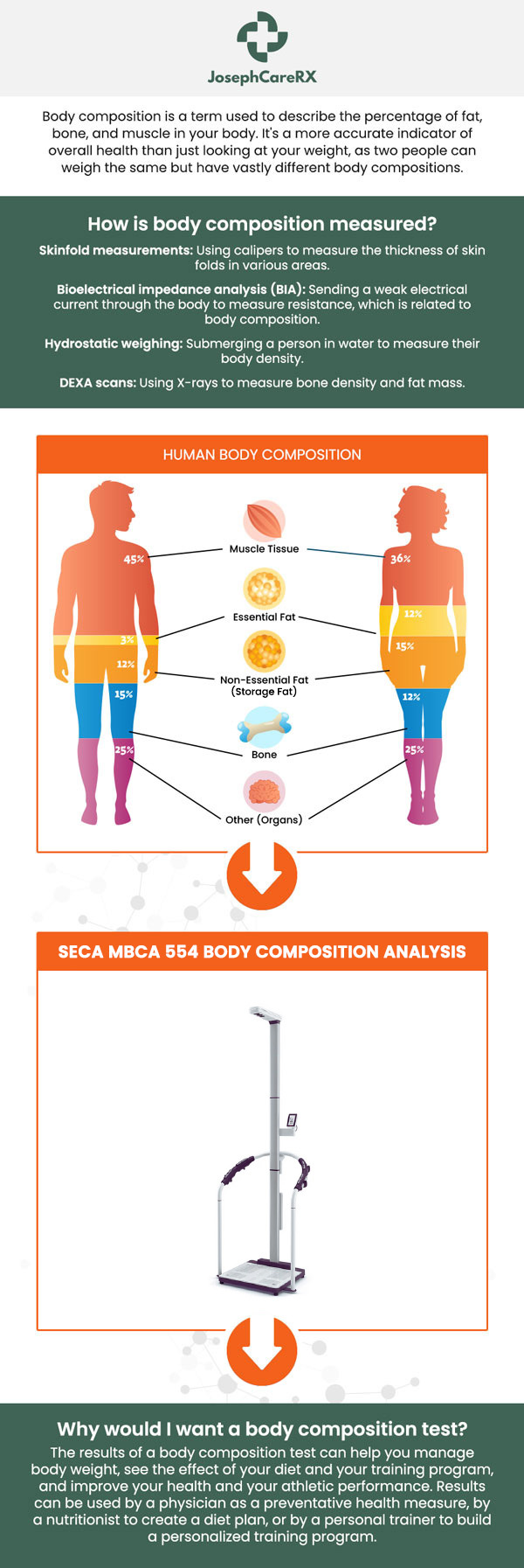 At JosephCareRX in Fayetteville, NC, patients receive expert body composition analysis to assess fat mass, muscle mass, and metabolic health. This detailed evaluation helps create personalized wellness plans tailored to individual needs. As a board-certified specialist, Dr. Leah Joseph, MD, FACP, provides comprehensive guidance on optimizing body composition through nutrition, exercise, and medical support. Her holistic approach ensures long-term success in weight management and overall health. For more information, contact us or book an appointment online. We are conveniently located at 2504 Raeford Road #101 Fayetteville NC.